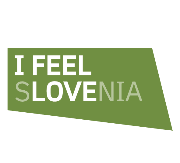 IFEEL 1